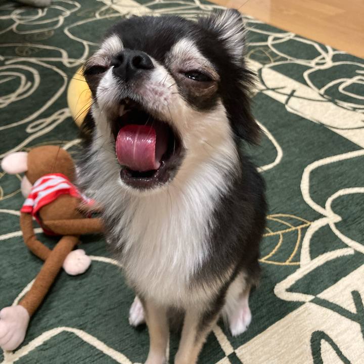 256e1145 9fc3 440c 9061 f616c8dc9adc 1632145840133