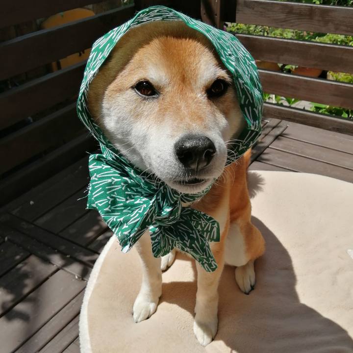 256e1945 4319 4a4c a3b8 805aba7be779 1682991897226