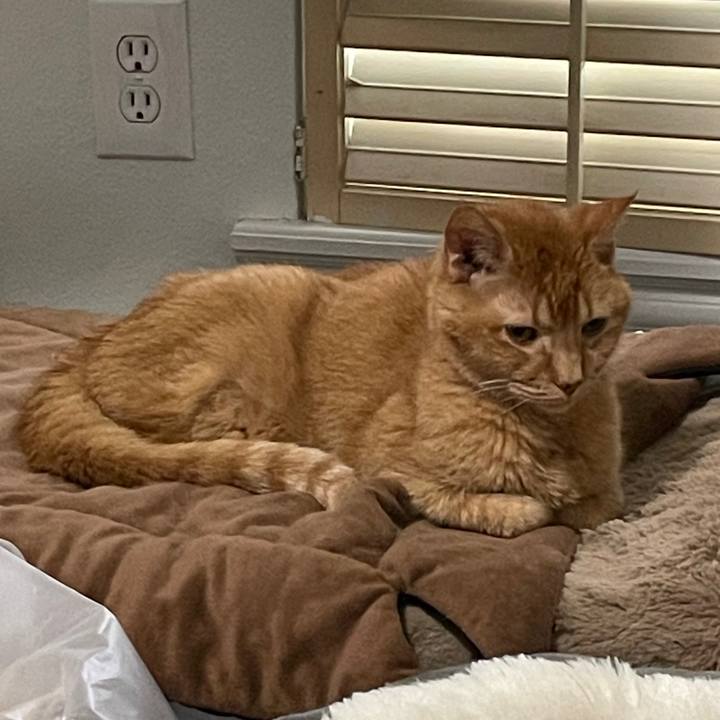 256e1e95 19d6 45f9 be6c b152e0539974 1769477638165