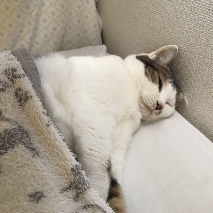 256e351c a38e 4c66 8fd7 7127f3b70dd7 1565424027378