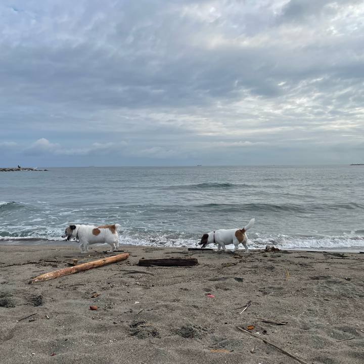 256e6859 5feb 4f0f beac b6698073cf3a 1694819526401