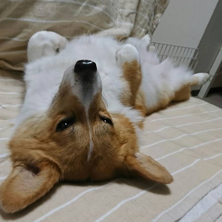 256ee759 2a6b 43c4 bf80 668ff26d1465 1531394810223