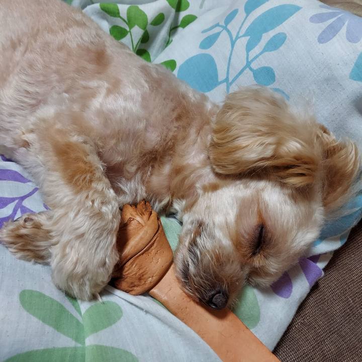 256ef0af c7d6 4c6a 9c7f 451c5b8c0f81 1633311030166