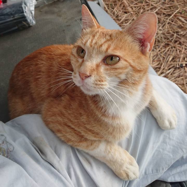 256ef449 5c9e 4d15 8b2e ba401735727d 1591907397529