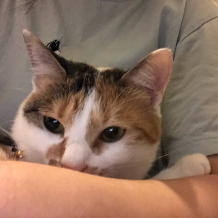 256fd7c1 7829 4c49 a625 f27c81af3cb6 1602303108712