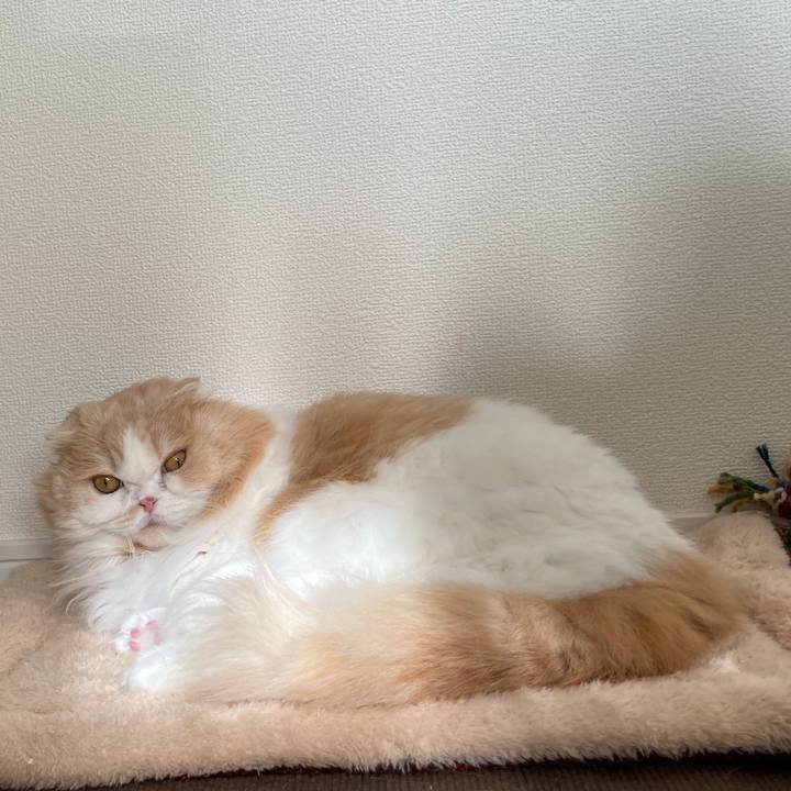 25700755 0322 4561 9a2d 3de070b20f36 1610543646388