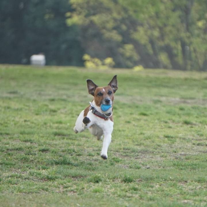 25700d75 e4fc 47f7 80e5 fc569d5ee71f 1555973888502