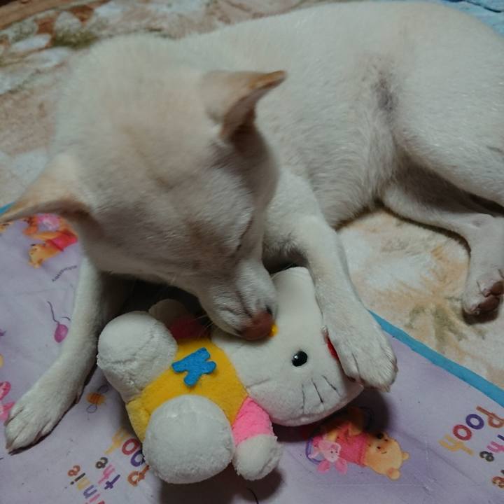 25701a41 b376 47d5 b995 eb2088bd332c 1508059408704