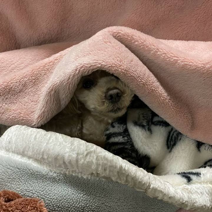 2570549d 4f7f 473f b943 80406bc7e5df 1580643862556