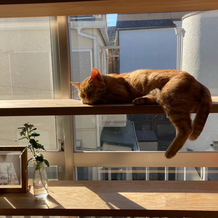 2570550c 72f4 42b6 92b5 c88d79c6c118 1642814723592