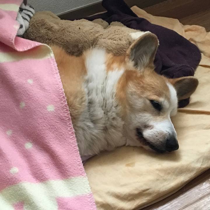 25706c60 f57a 4d81 ac40 2e6d27c79b75 1613695193982