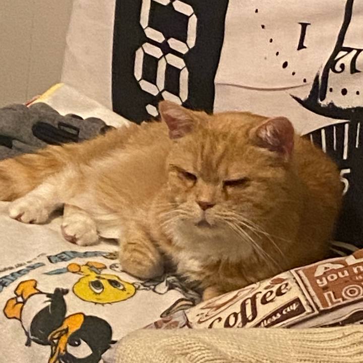 25707c97 277b 4c7a 984d 409632f17c01 1675524591658