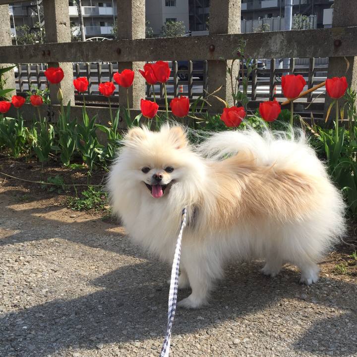 25708b4d 421b 44f5 bf7c 18fac8f4e8aa 1522825258658