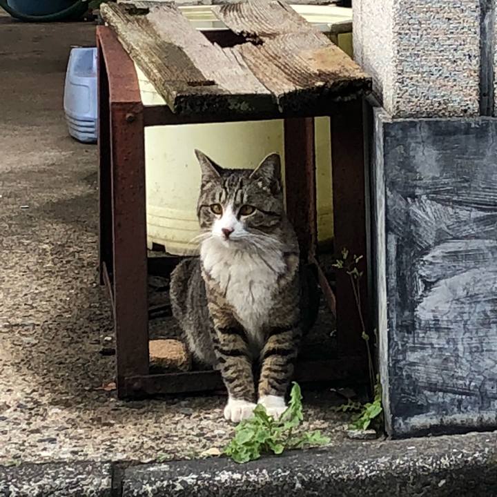 257094b9 2e43 47b9 b8ba df0348ea1f4c 1524067081960