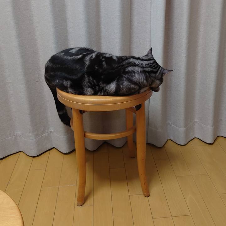 2570ab7b 3825 4f38 8a6f b4b20568407c 1660481777226