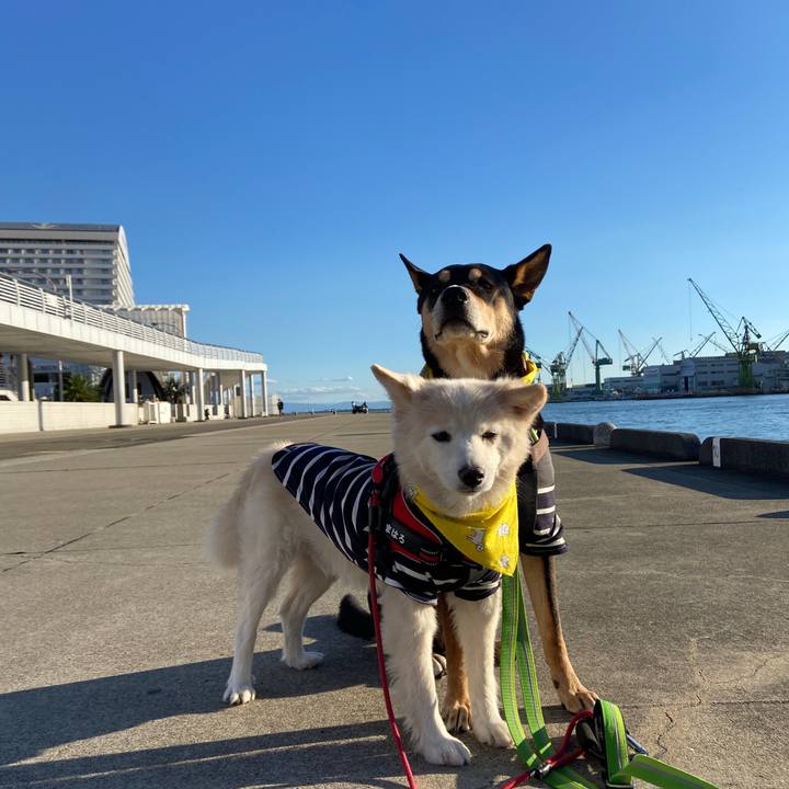 2570b688 25b5 4c59 ad55 b0de89b8b26c 1700022097153