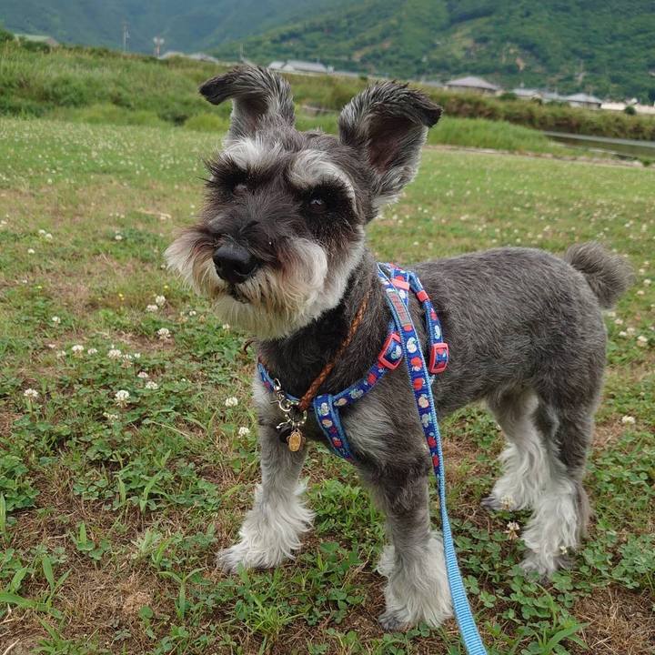 2570dfea 5ed8 4883 b356 9001ec3b3049 1662033376592