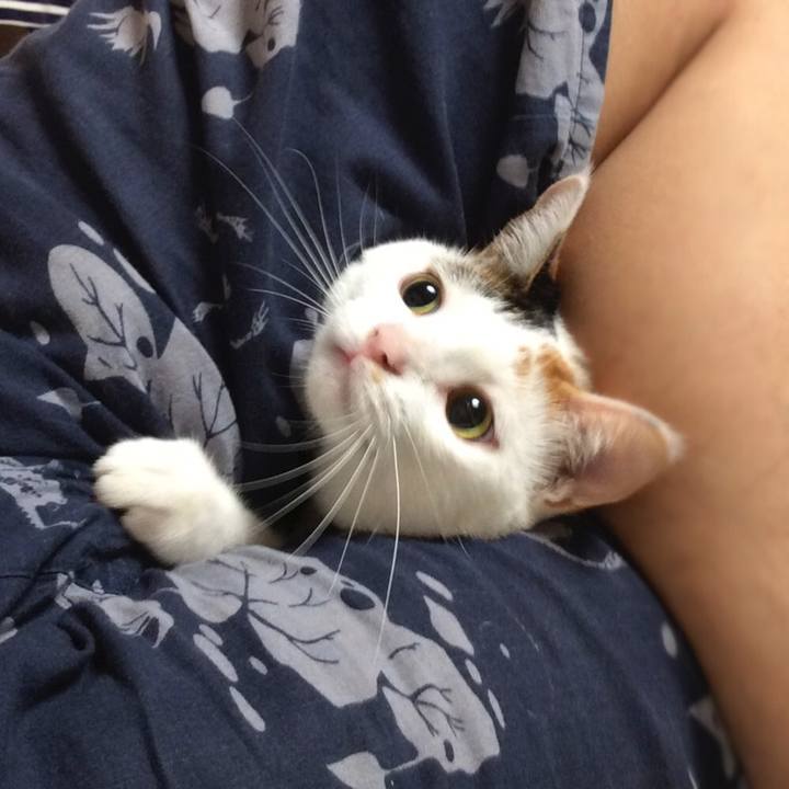 2570e6fc a248 4bf1 aa9c 534dcf79d8a1 1564097934493