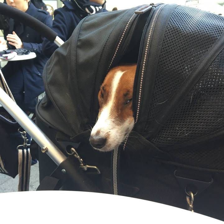 257133bf 7328 4c84 b390 515a6e0fb779 1518926873294