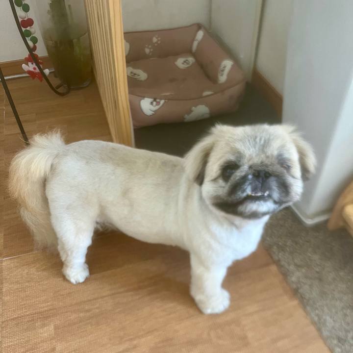 25715843 f488 471b 989c c6baa4235614 1725941269889