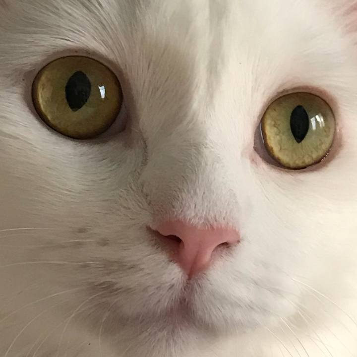 25718f5a 0c30 40f4 a8de fe567abdfd67 1528537756897