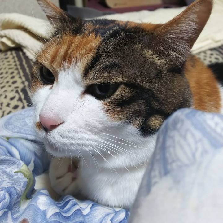 2571a8d5 cb6c 454d a2e1 fd78c4f285cf 1578260813761