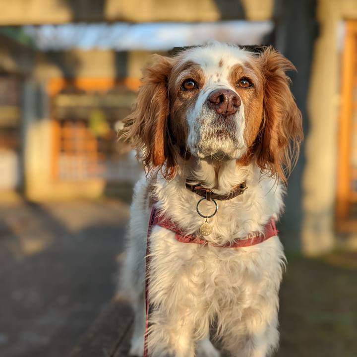 2571af52 692a 4c98 949a 095807f549df 1665194933220