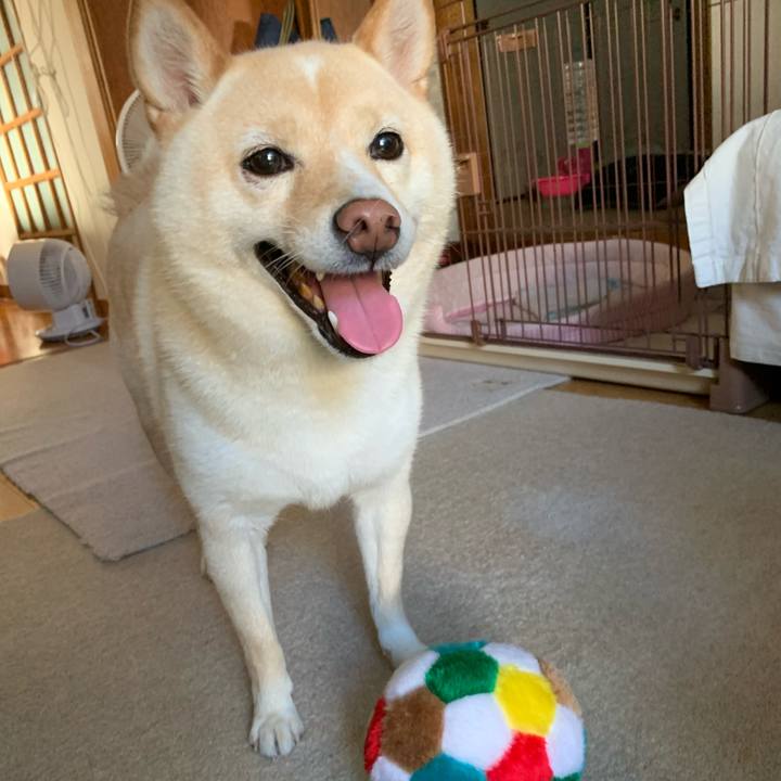 2571eb65 8a16 4b77 9e81 fc7fc6643f5b 1629618814035