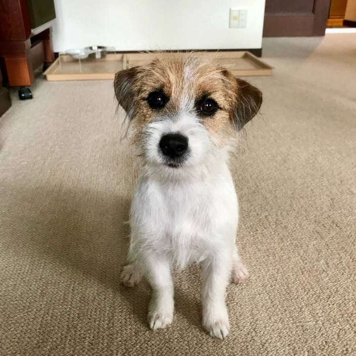 25724eaa 5b80 46df 9140 12b4619eae86 1762348657223