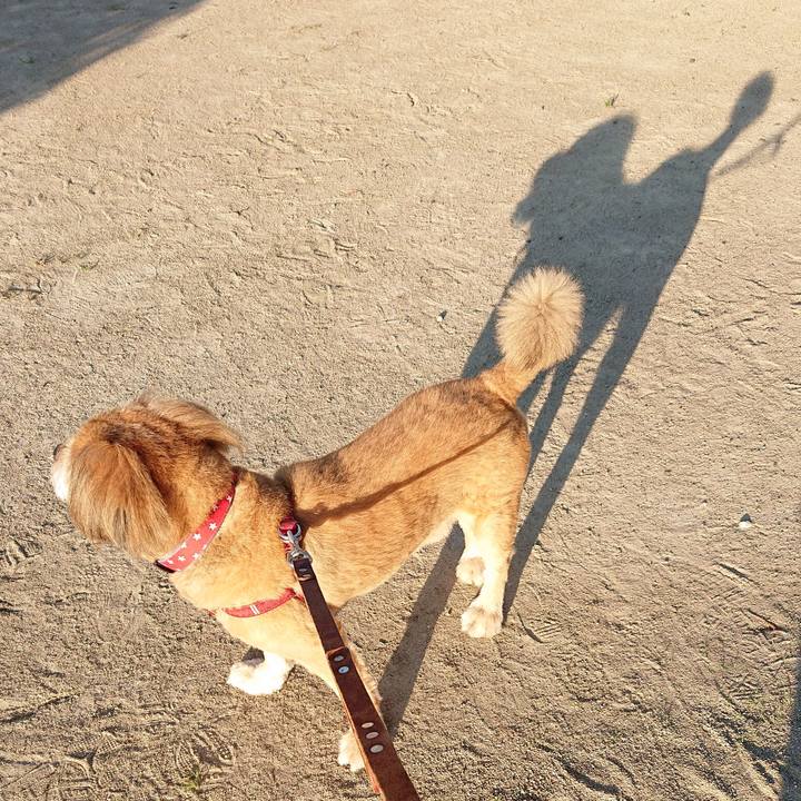 25726af4 e593 4247 97b9 3af432fd7aa1 1567986450937