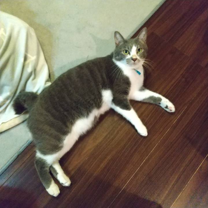 25727073 f173 4efe b7cd 08975419854a 1637067443449