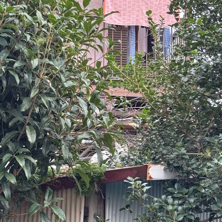 25727492 f35d 42e3 9c0e 1569da5c75e9 1762310850516