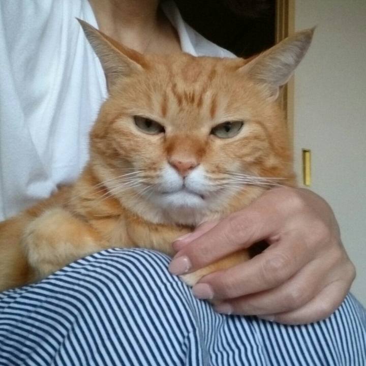 25729c3b d275 4695 997c 18cee60efee2 1509324526611