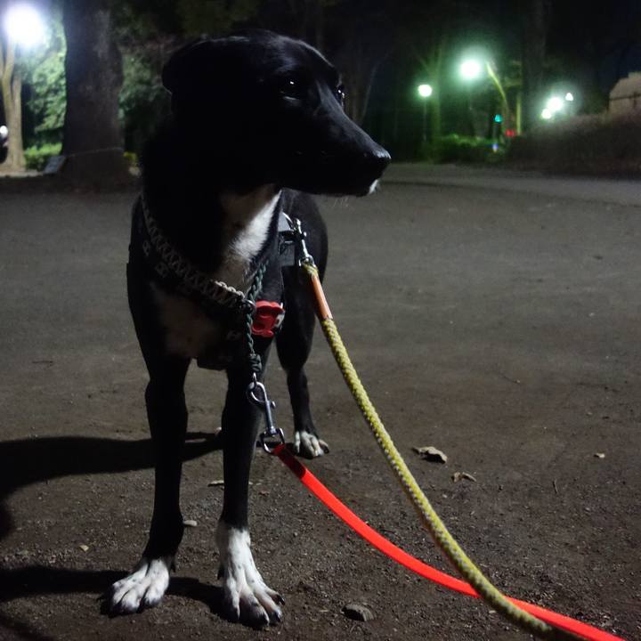 2572c999 0dbd 4648 a280 e9ccb4e0d63f 1581553075057