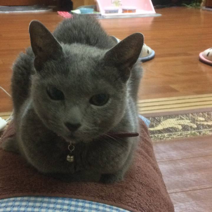 2572fc3f e5c2 4658 8fa5 0b0d5745a396 1508820746089