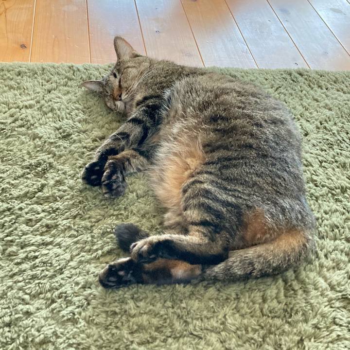 25731bb4 330b 4eb4 a0bd a89238cf8108 1656978636619