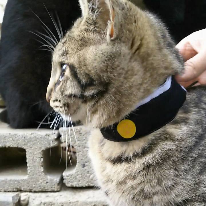 25736b0a 1780 4b96 9e44 a79192721a54 1556008005851