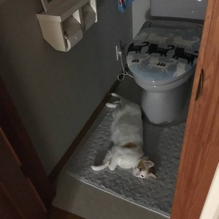 25737fa6 91ab 42f1 9363 22ead2cc2b32 1529333492742