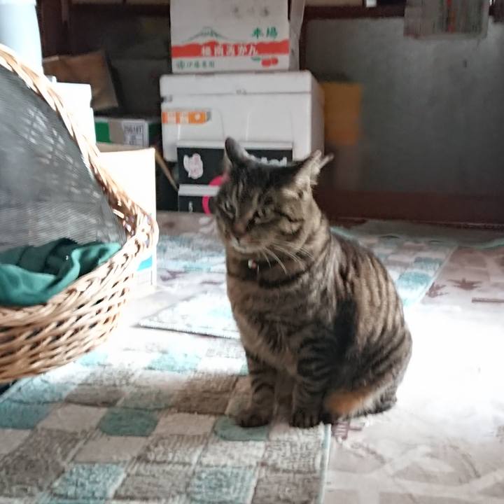 257390fb e2aa 4110 b549 809db817551a 1644625352069