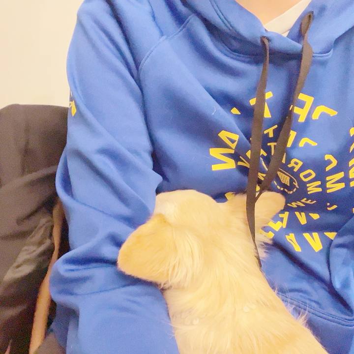 2573af4f fbd4 4ac8 8f47 516cbdf17831 1733398634875