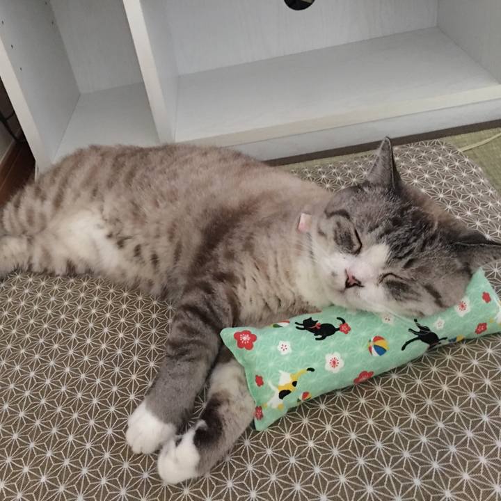 2573e706 2620 4ed5 8073 3eb792941955 1525241571435