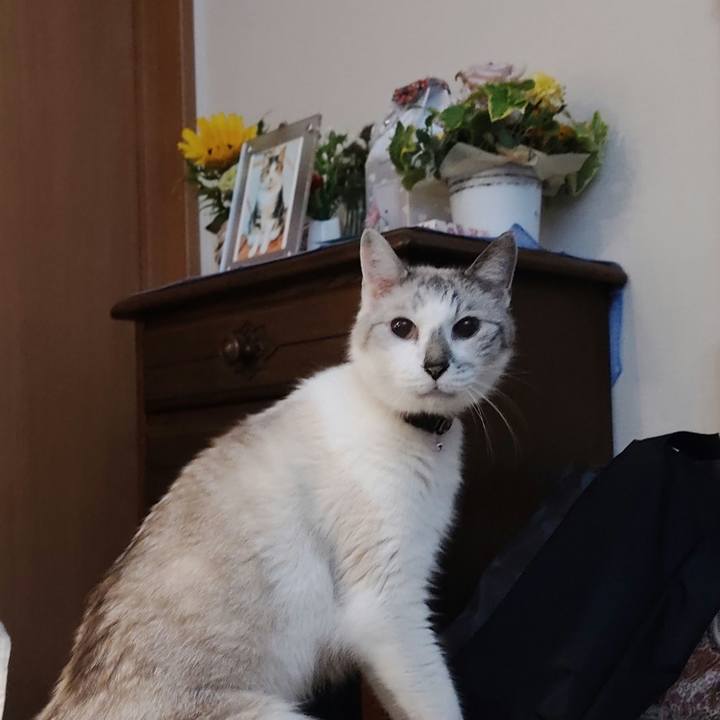 25740439 fcef 4f25 b05e 681c8312e310 1690423715299