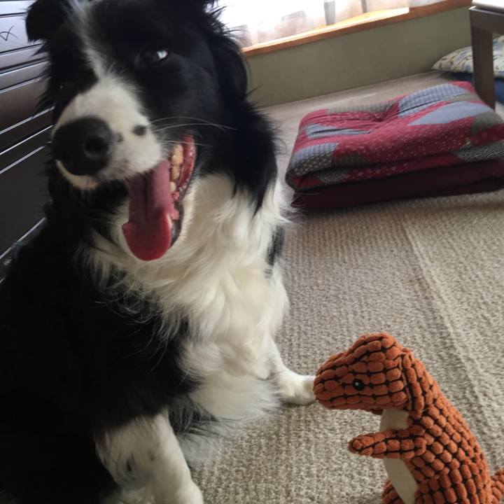 2574089f d78f 46ea ad2b ea0395b91ad2 1527296006331