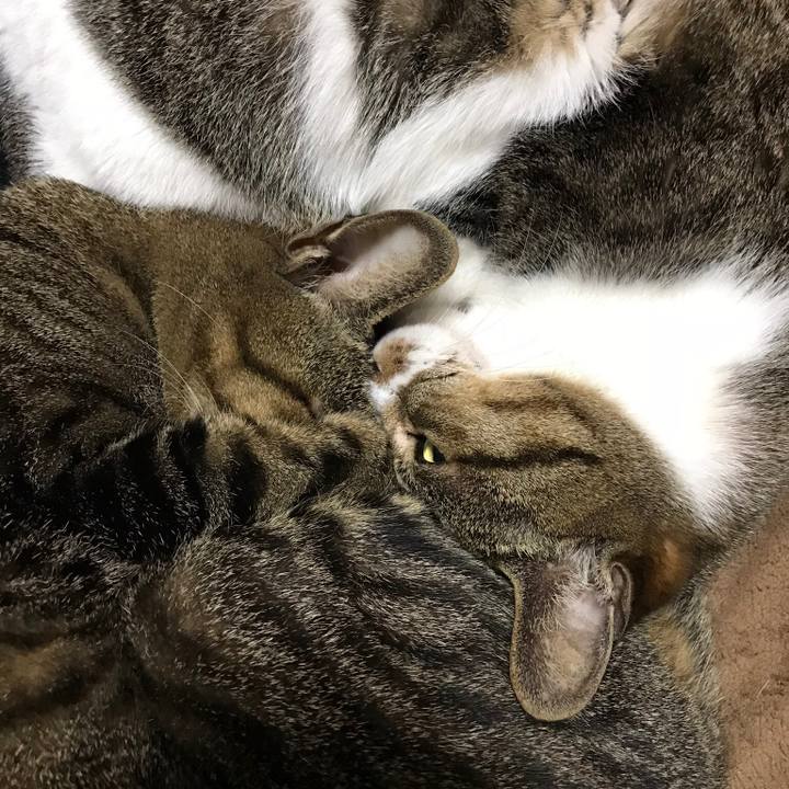 257476e9 bcfc 4f43 83fc d1298295da70 1519347187018