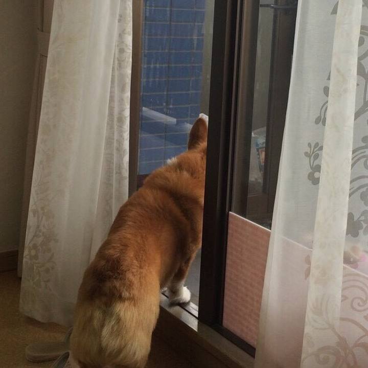 257478a1 7907 4094 934c c0a8fdaa9abd 1515034082392