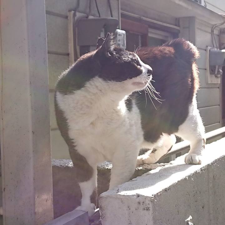 25748999 6e7d 466d ad3b 31688950b5cc 1619581137485