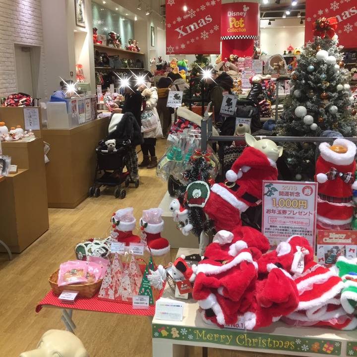 2574b98e 8e50 48d4 a6a0 569f38fb6707 1512914414470