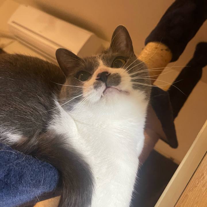 2574bf97 1620 4239 8a6a 6773c2e5be1e 1681995472559