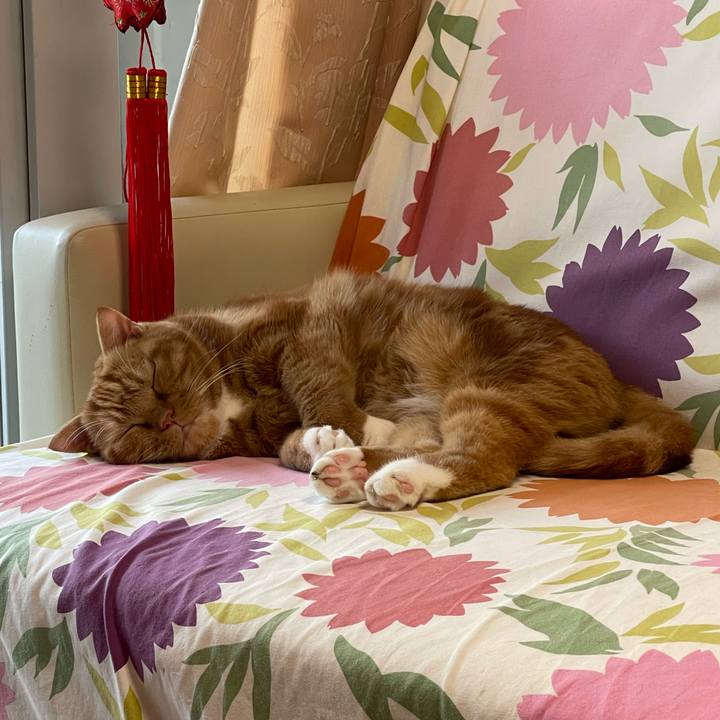 2574cf85 08a3 4150 9454 7685f733b708 1726388864520