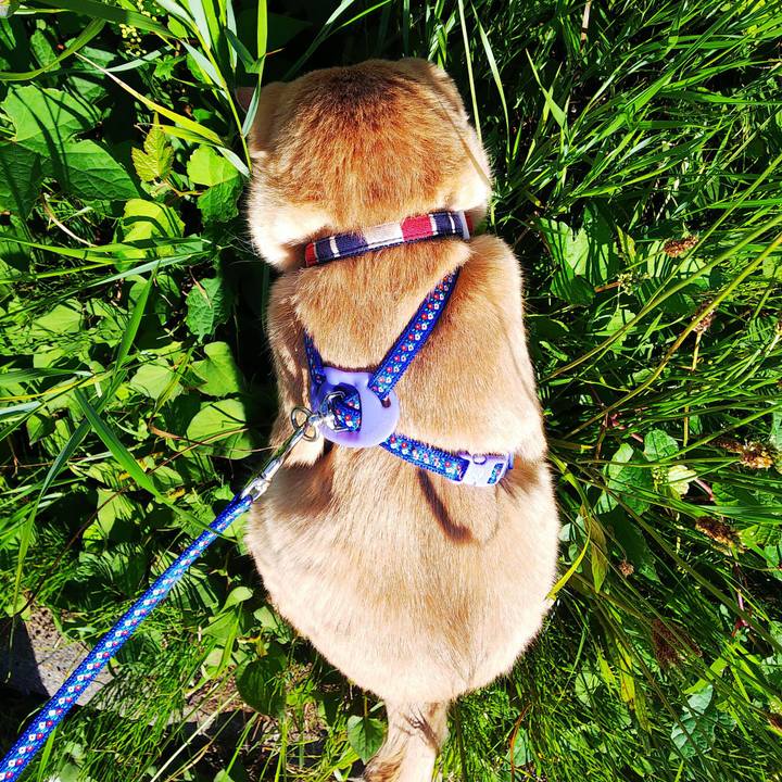 25751612 9a0c 4246 8392 318367c8a605 1597288064029